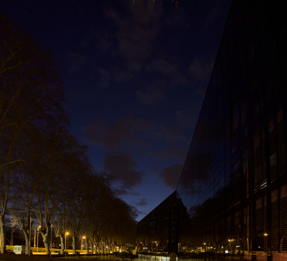 P1005319.jpg