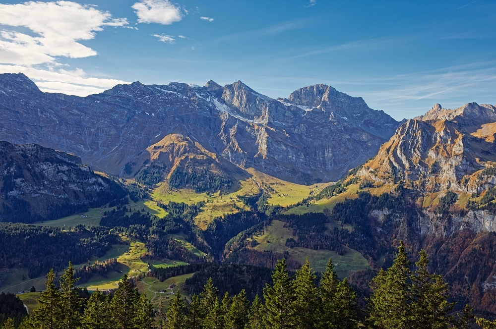 041A1069_DxO-border.jpg.a0033491a59b2d6f83d457f0c158a53d.jpg
