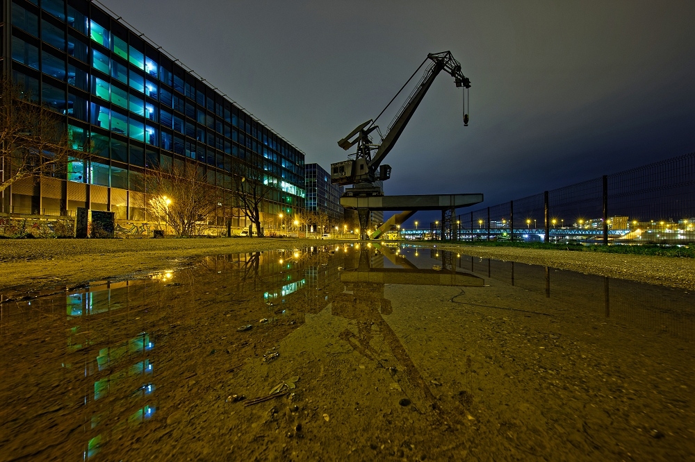 041A4523_DxO-border.jpg.7f50868b73ba9c64a1271ee218bf39b5.jpg