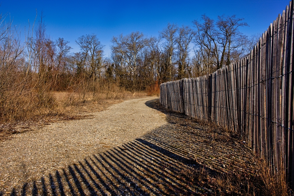 041A5140_DxO-border.jpg.8548c3eb6899ac337174c0a58649aa73.jpg
