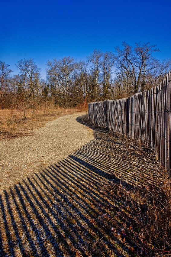041A5145_DxO-border.jpg.391fca4258816a03652745ecc6dd6755.jpg