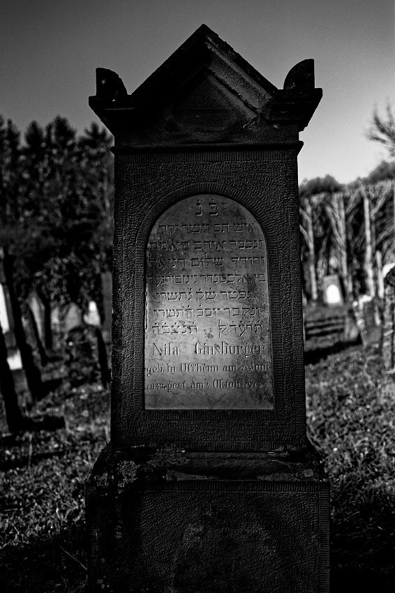 041A6041_DxO-border.jpg.4e33c1efe2ff8bedd0dba14c11fa3187.jpg