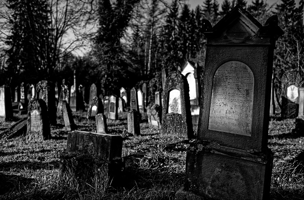 041A6042_DxO-border.jpg.857f1f3d85c91ff79508b69f8d1d83d3.jpg