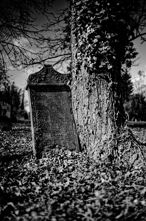 041A6208_DxO-border.jpg.0fe085a5d451be2fcd9432d44b031711.jpg