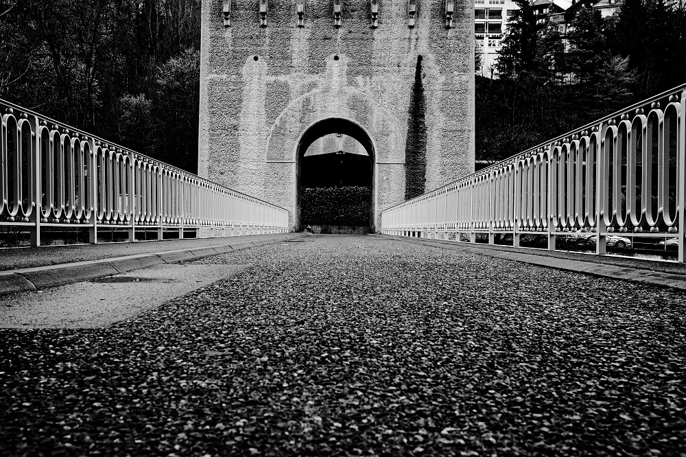 041A6325_DxO_1-border.jpg.abf466db707136e22167a9310b32e156.jpg