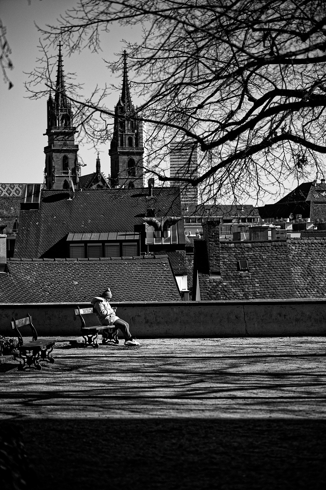 180A2619_DxO-border.jpg.30033dc66d17e8cd7a4f7da65956dd63.jpg