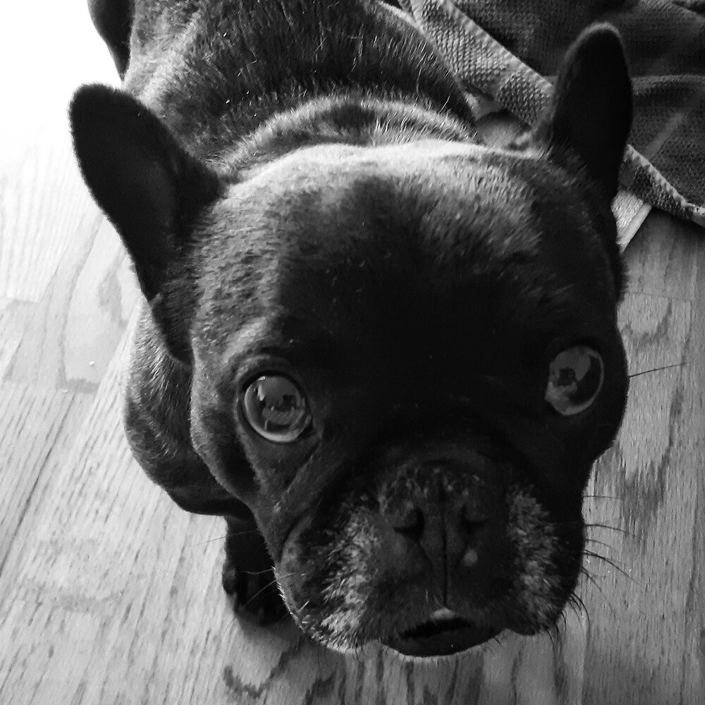 20220417_104001-02-01-01.jpeg.115f51641e01cf6a384eccde9695e9b0.jpeg