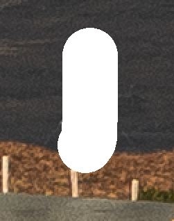 263176233__PeindreDtail.JPG.171e6febabd21e1a33339690ed5d3993.JPG