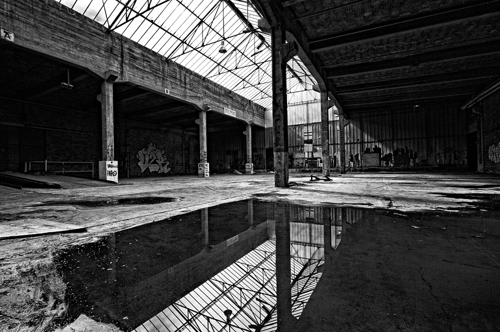 CW7A4460_DxO_2-border-border.jpg.d7b10046e93b42d106db9de33bfb0c08.jpg