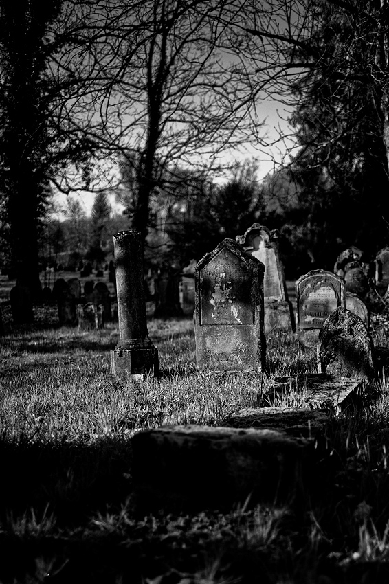041A6057_DxO-border.jpg.779115dcc07c0790e791c2052807620f.jpg