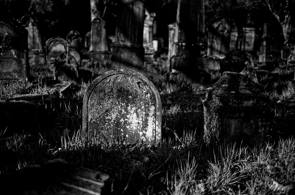 041A6059_DxO-border.jpg.659a111939ae991c2417fd3542264757.jpg