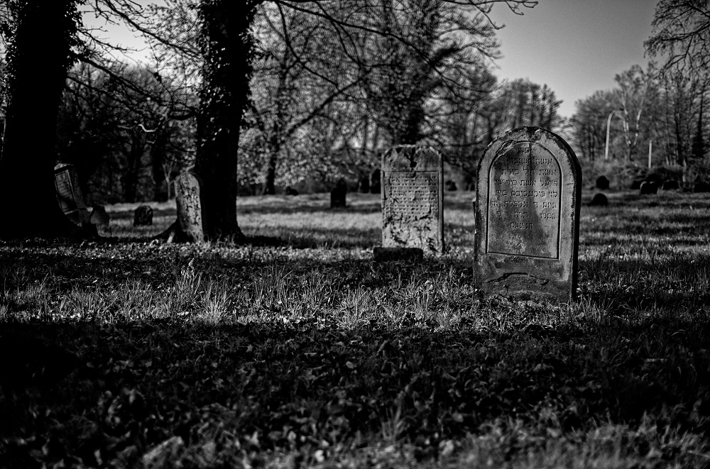 041A6067_DxO-border.jpg.40fe45ab96a7027935bd6e9c0bab7ed4.jpg