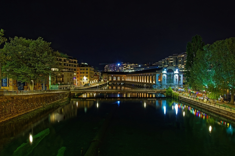041A6662_DxO-border.jpg.b64e5fac5478d2c5e8e406b5a6cc7db3.jpg