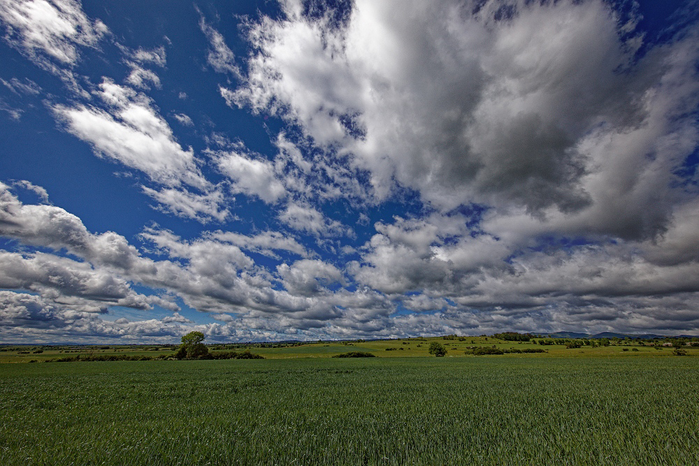 041A7007_DxO-border.jpg.6d1aa83ebe69a8da6f757229c5fb0161.jpg