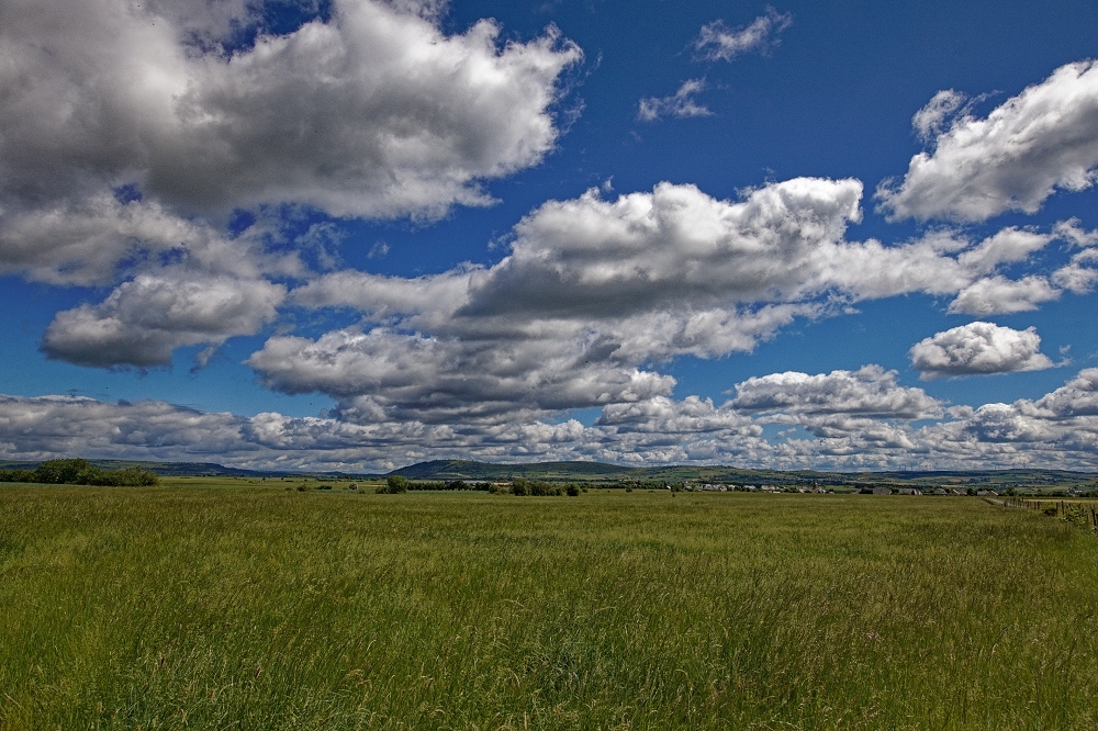 041A7010_DxO-border.jpg.a9a9914ea82f8e97a3d360d226cec474.jpg