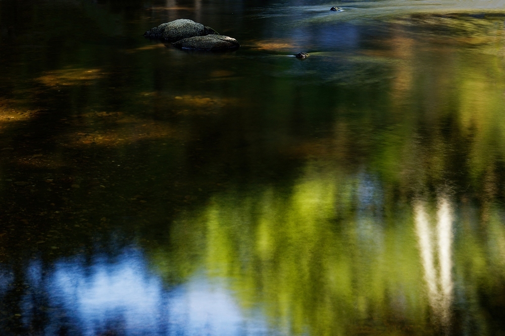 041A7180_DxO-border.jpg.dd1cfcd42145a1a8625771c424d18dbf.jpg