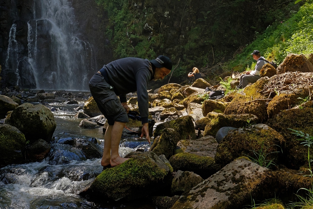 041A7205_DxO-border.jpg.ecf157f63b217b9b6f03de0c748dc6b5.jpg