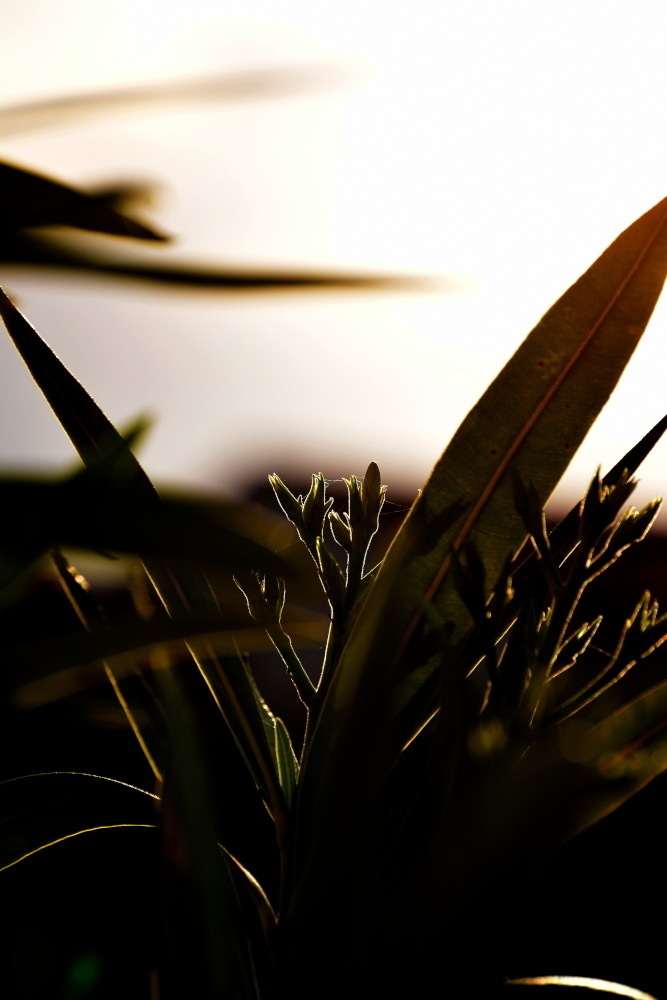 1.JPG.7ca8ee98aa9242af252d3f776379b020.JPG