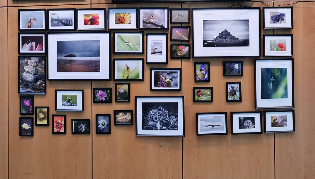 Expo du 12-05-2022 au lycée Sévigné.jpg