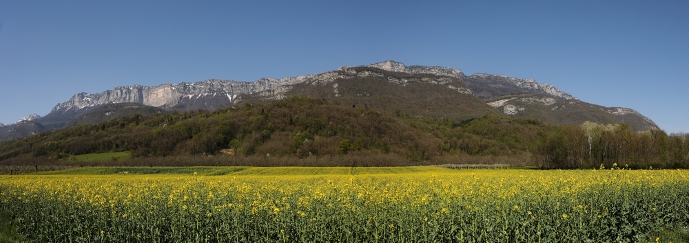 Pano plaine.jpg