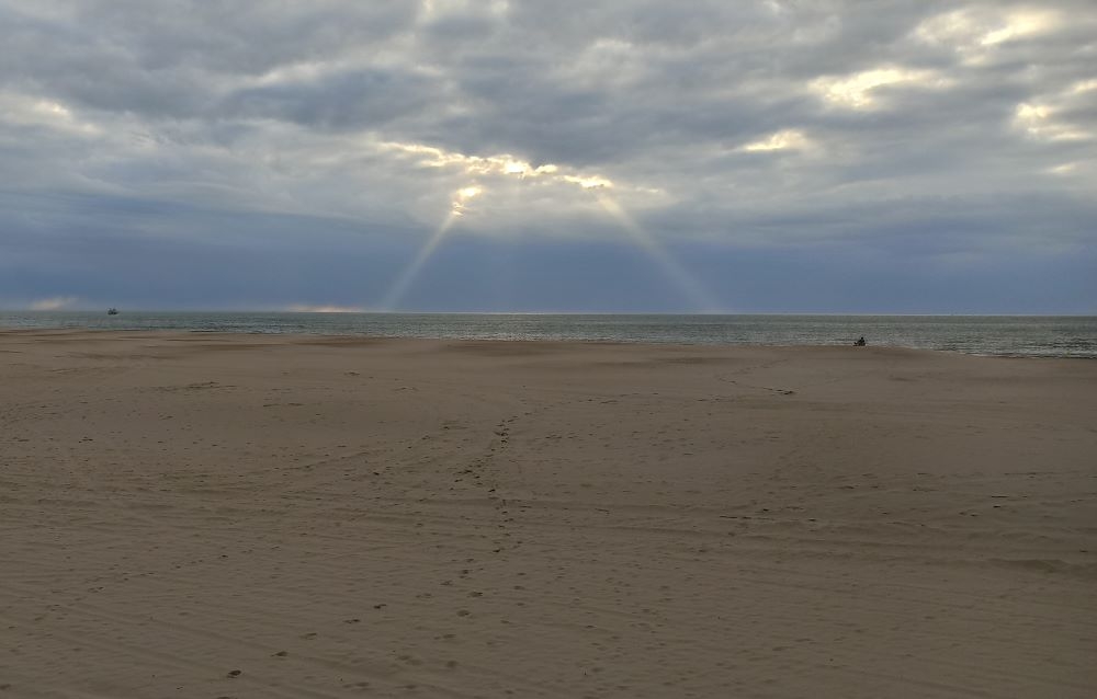 1453018419_rayondesoleil.jpg.6a600cccbba3d79f4aa18d78cf2e26ad.jpg