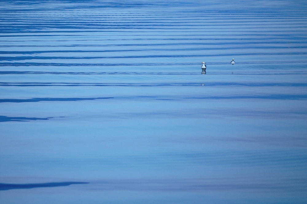 180A2852_DxO-border.jpg.28762641e0104bbd076dfb175ddeee82.jpg