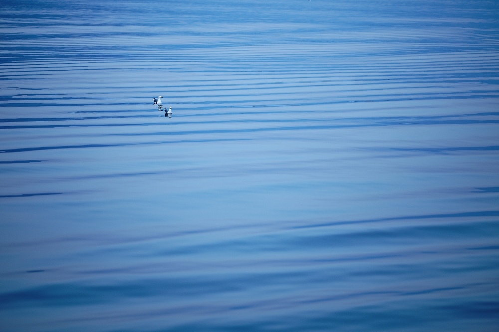 180A2853_DxO-border.jpg.70214ebef26293d45a5e19905e4bf037.jpg