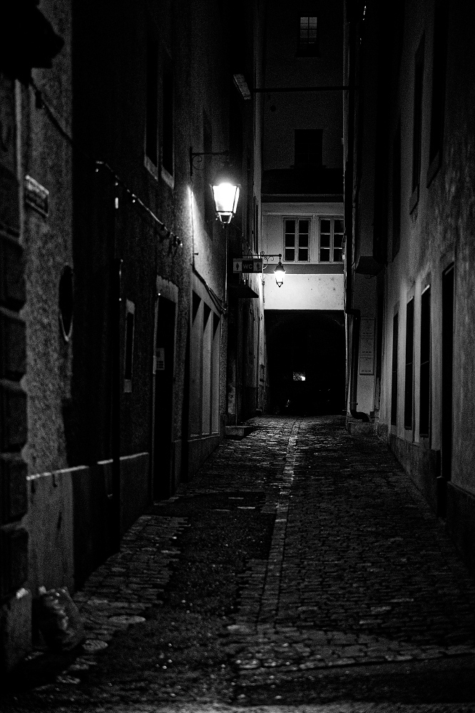 180A3179_DxO-border.jpg.934a5b4c2ee04e798e928315410f44e7.jpg