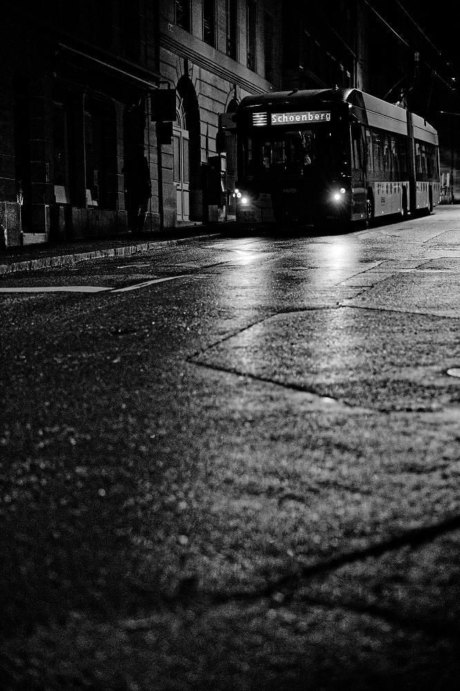 180A3180_DxO-border.jpg.f1f5799832c3bdf88443203be1670784.jpg