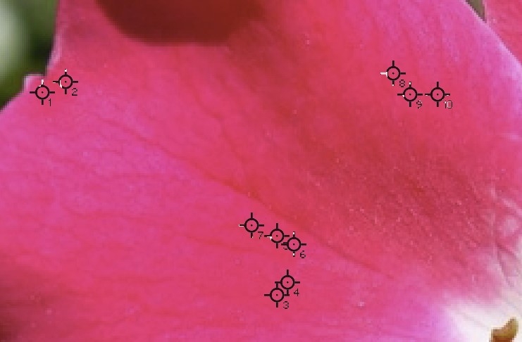 246736575___Capturedcran2022-05-28134229.jpg.e88d09b545f5901564abf8b112f3deff.jpg