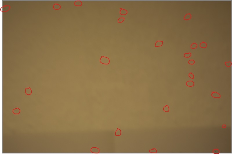 931153354___Taches.jpg.a6f9c1502f9431a3ac617fc1bb49d28a.jpg