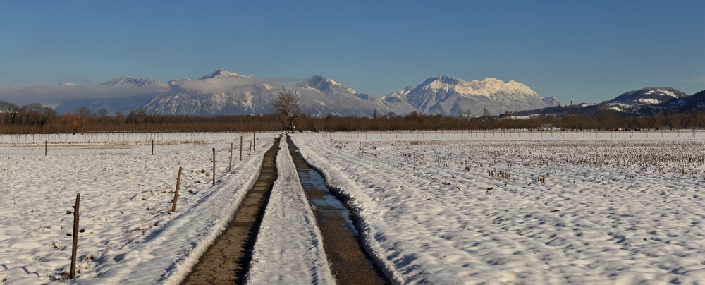 Panorama Plaine.jpg