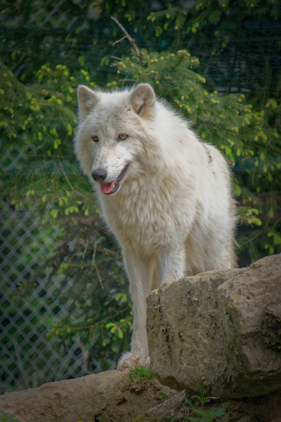VHA09160_DxO.jpg
