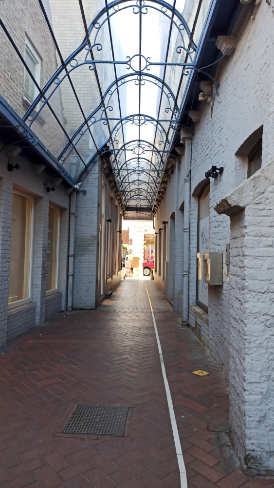ruelle.jpg.fd966b7a359225eae7ecd9417262a88b.jpg