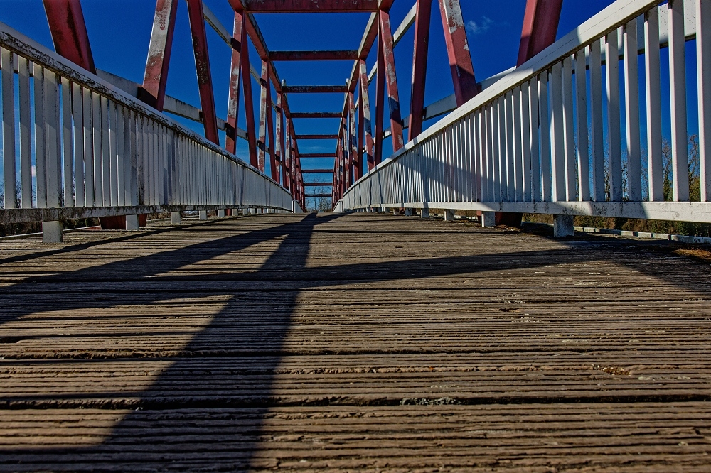 041A5480_DxO-border.jpg.38cb71ed85e405a55a9a71f0619f446f.jpg