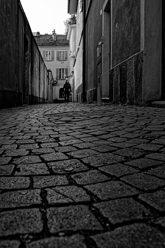 041A5532_DxO-border.jpg.b82ef745f9a05475e382fd8af35ffb06.jpg