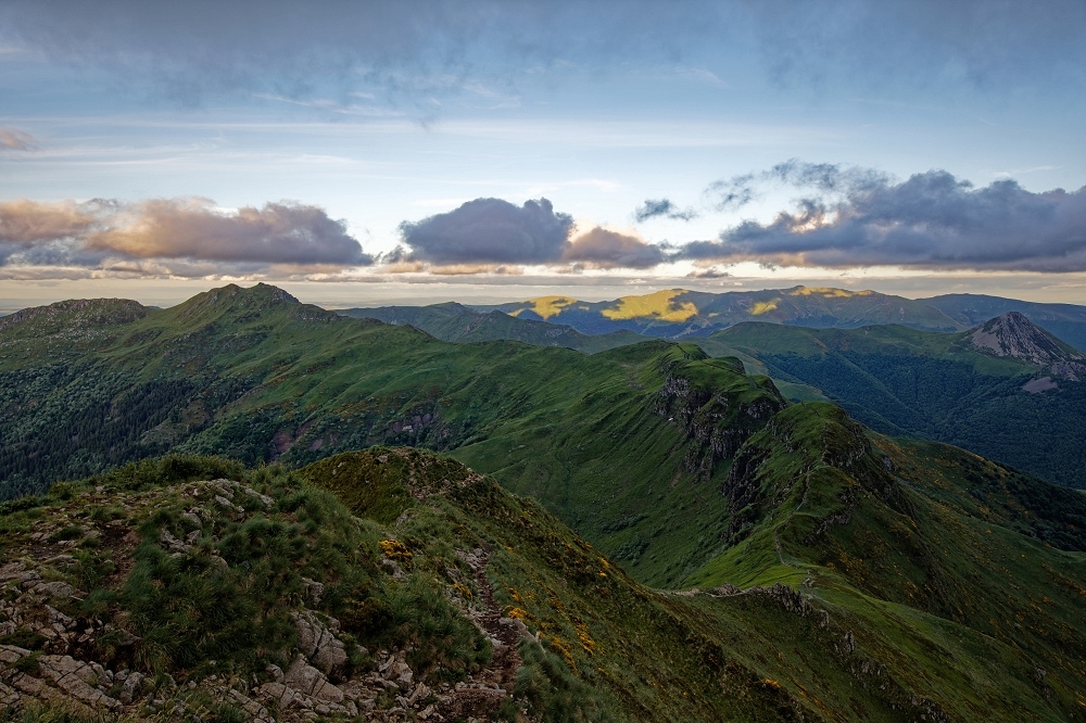 041A7118_DxO-border.jpg.c30a4fb7172737f3a943f1ae5440bcd8.jpg