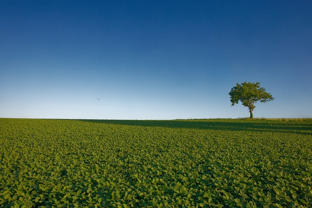 041A8352_DxO_1-border.jpg.2ee518c57f6a7c4aef8dfc0769865995.jpg