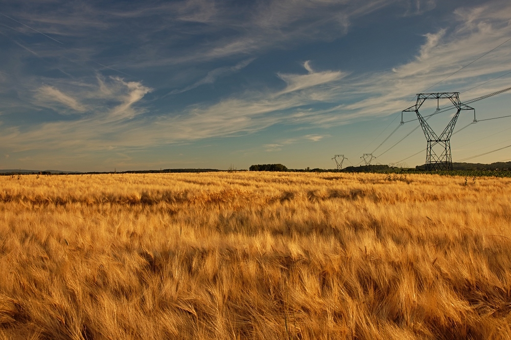 041A8403_DxO-border.jpg.608a55f1eaf1c42e81b7df97d569051b.jpg