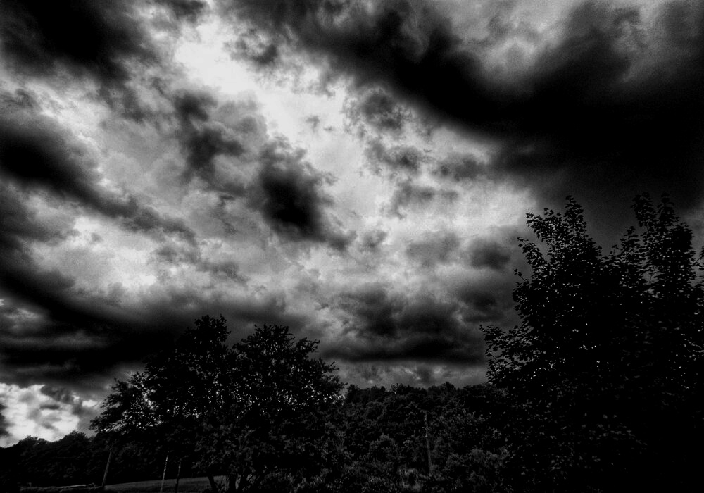 1265697158_IMG_7182_DxO-01-01-01.jpeg.67bfc01e6cf597dde525694934b13e98.jpeg