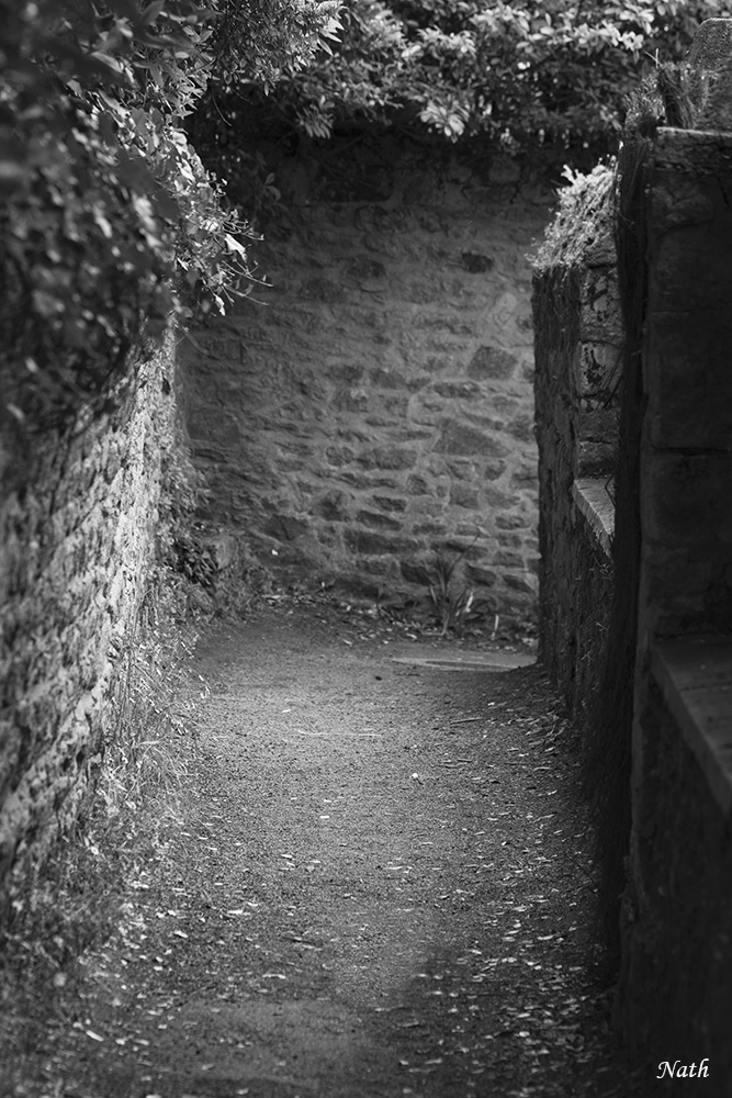 1385004307_RuelleenNB.jpg.39515f8cd46fd3b9996bec2b9d072117.jpg