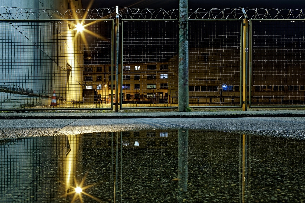180A1055_DxO-border.jpg.dc76ab2e43312e4fb108a0338232cb59.jpg