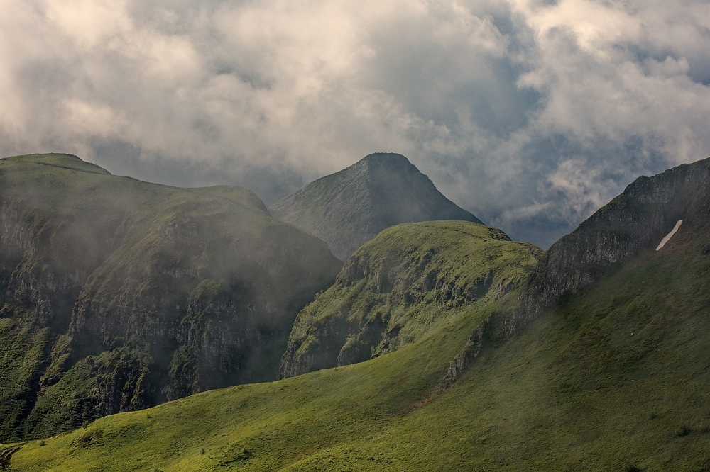 180A4240_DxO-border.jpg.781630ccbe368d732ff5e195db803a2b.jpg