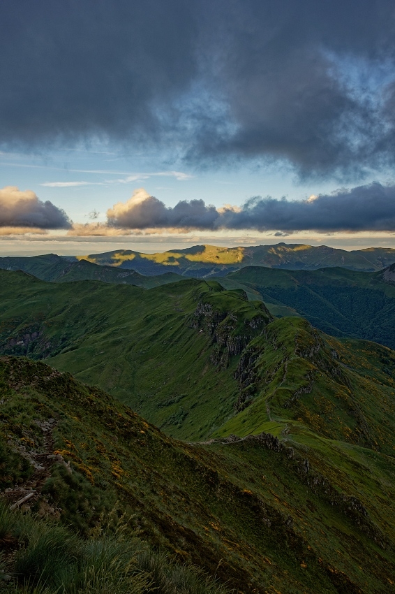 180A4275_DxO-border.jpg.f234272e920c11fd97f2f88bd4a28c23.jpg