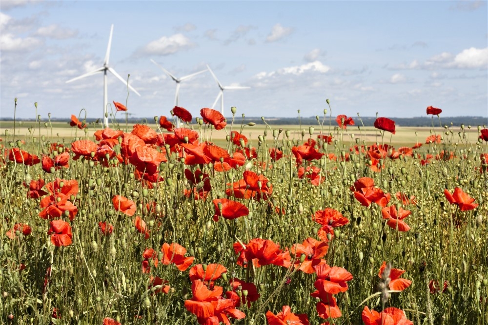 Rouge des vents... - Photos de paysage et de nature - Forumdephotos.com