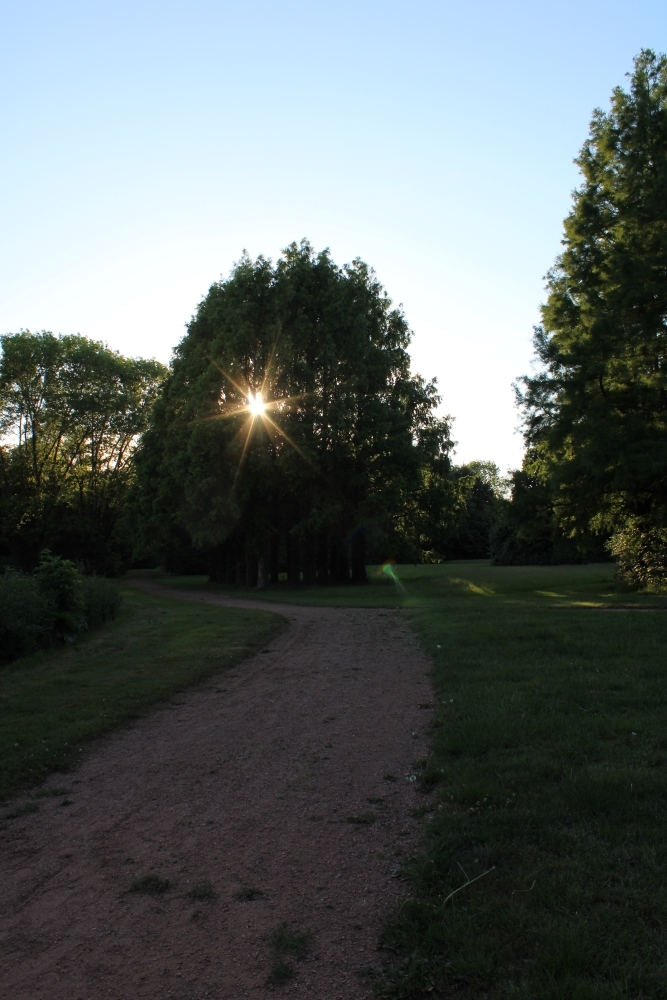 2022-06-02-12h09m00-1000.JPG.65cf6cccd9205af555abfba982594f32.JPG