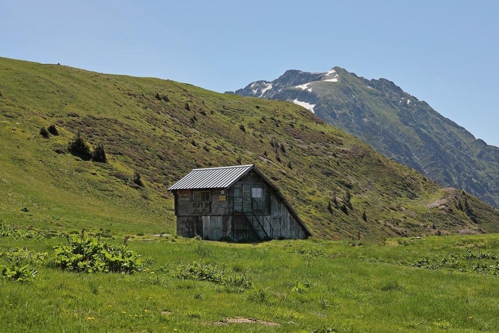 2G6A2982a.JPG