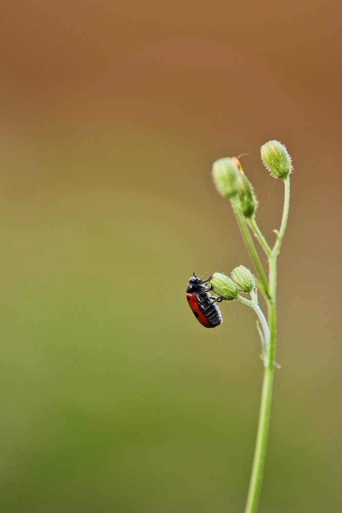 320718491_DSC_00972.jpeg.f43a7f347739633c7262e0f8d76981a7.jpeg