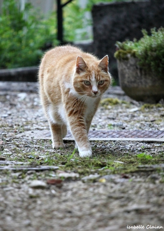 chat serie 4.jpg