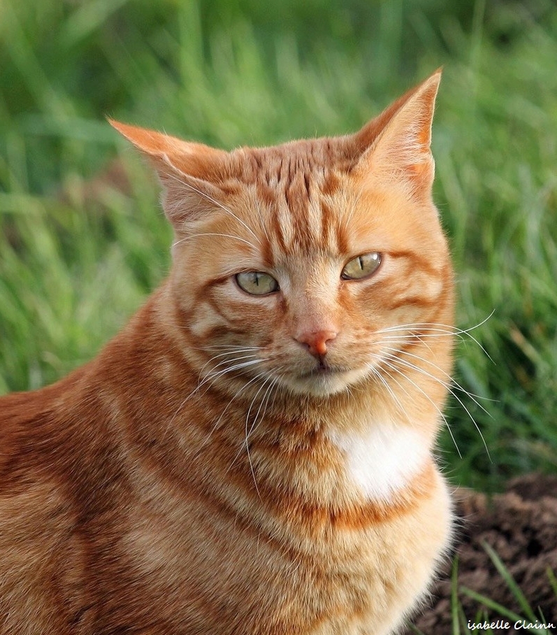chat serie 5.jpg